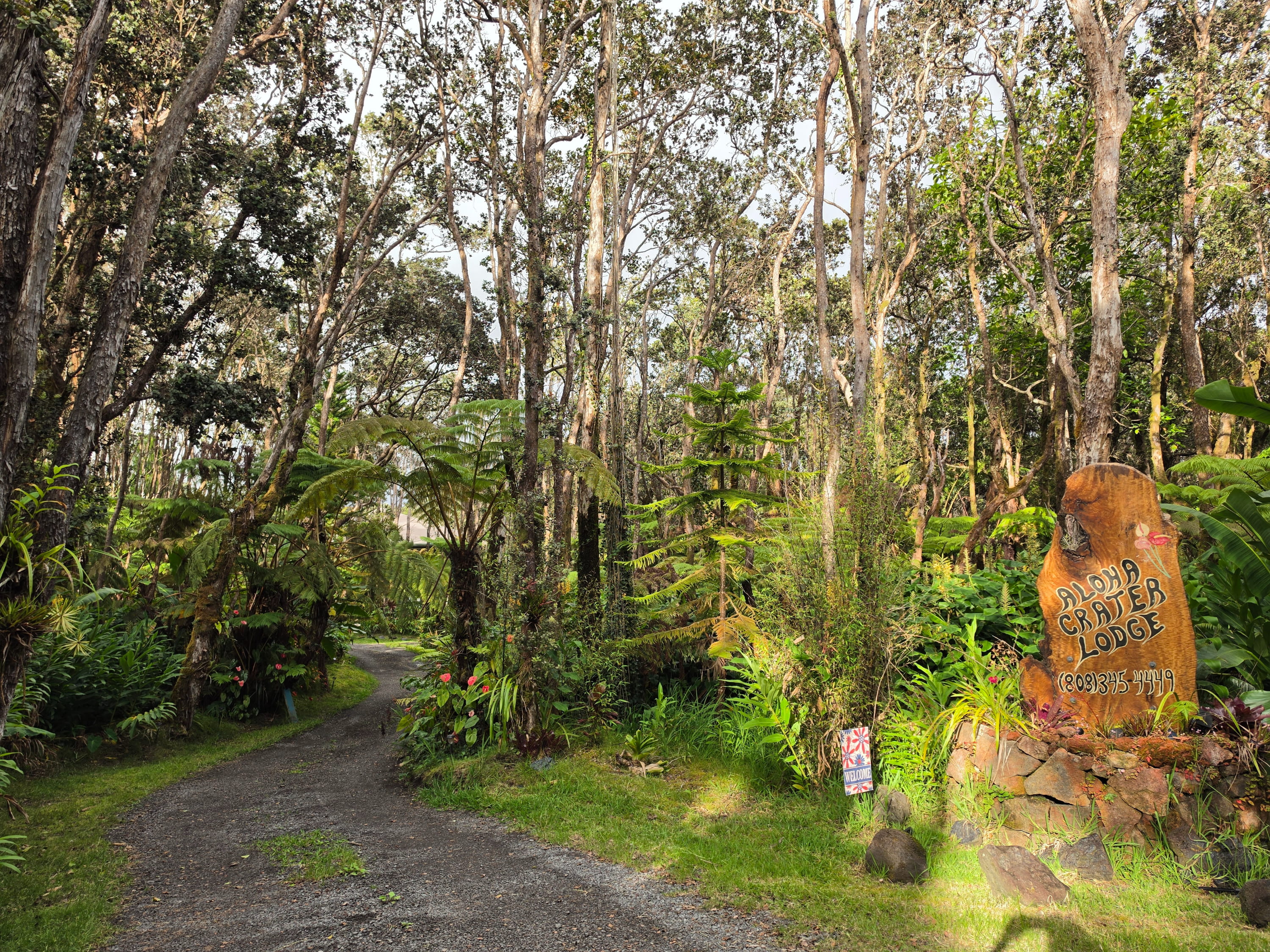 Carved wooden welcome sign at the entrance of Aloha Crater Lodge nestled in the lush Volcano rainforest